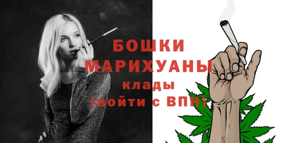 сатива Россошь