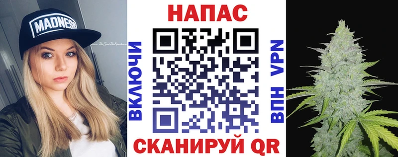 Бошки Шишки индика  МЕГА ТОР  Кировск  купить  